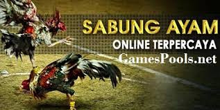 Nikmati Serunya Online Sabung Ayam - Permainan Online 