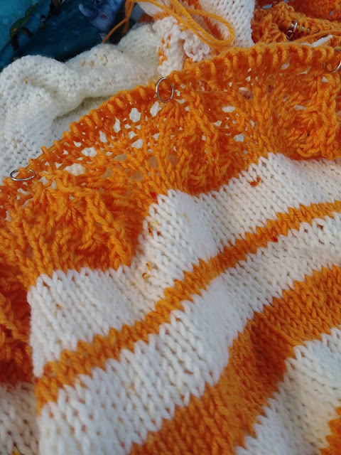 simple stockinette, striped, lace border shawl https://www.jgknits.com/2019/08/knit-night-knitting.html