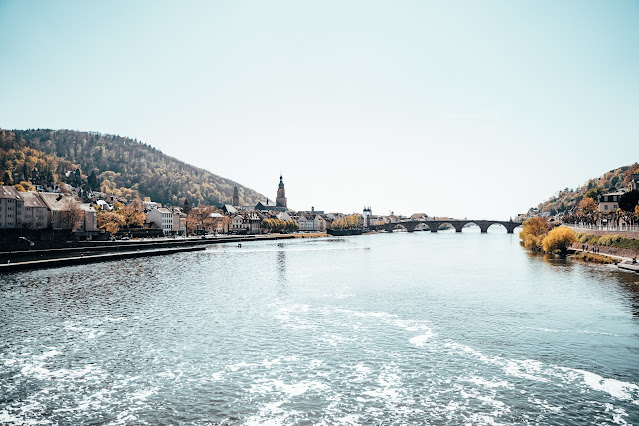 Neckar River Cruise