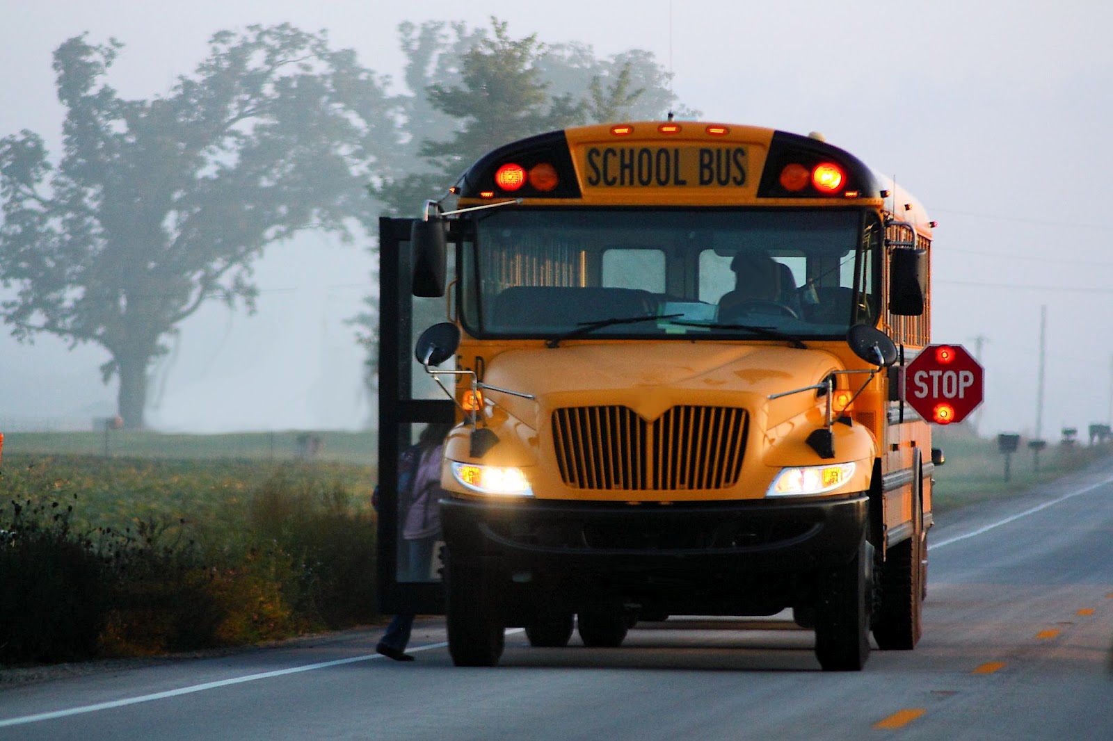 Wallpapers and pictures: School bus in the morning hd wallpaper