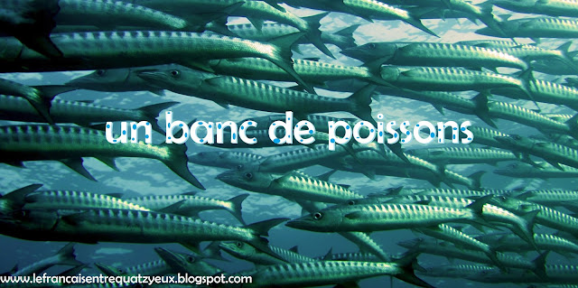 un banc de poisson