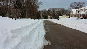 Look what a little sun can do. Tuesday morning the street was completely white. By late afternoon, it lookedlike this