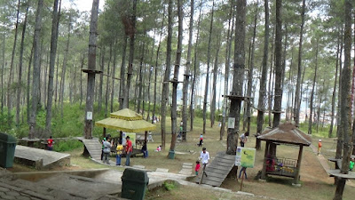 Hutan Pinus di Dago Pakar Bandung