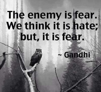 The enemy is fear