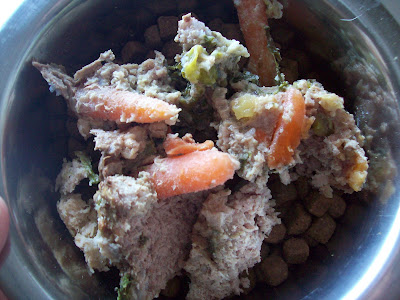 Recipes Jack Lalanne on Baked 1 Hour  Chilled  And Served As A Kibble Topper