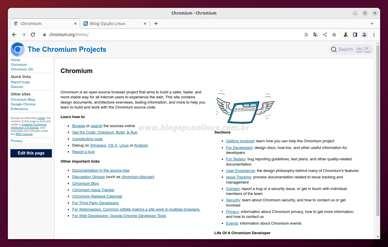 Chromium executando no Ubuntu 23.10 (Mantic Minotaur)