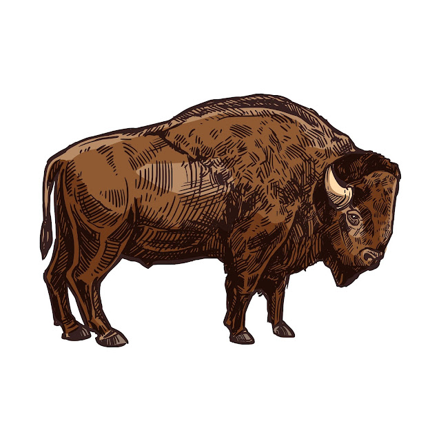 25+ Free Cartoon Images of Bison animal