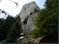 DSCN7730