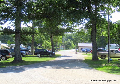 Looking towards the little office at Woodland Park