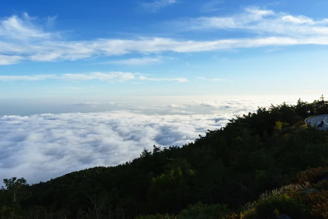 雲海～富士山・富士宮口5合目