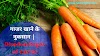 गाजर खाने के नुकसान | Disadvantages of Carrot
