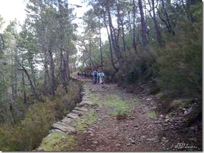 Imagem121