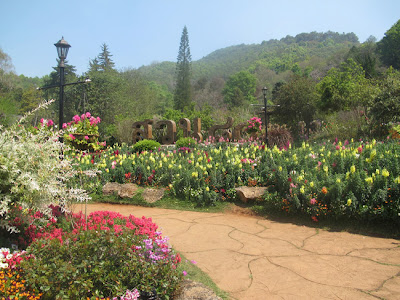 thailand tourism Doi Ang Khang