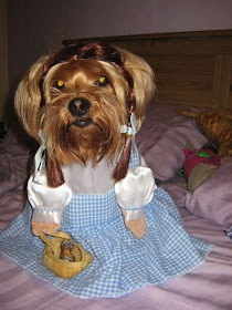 dog Dorothy