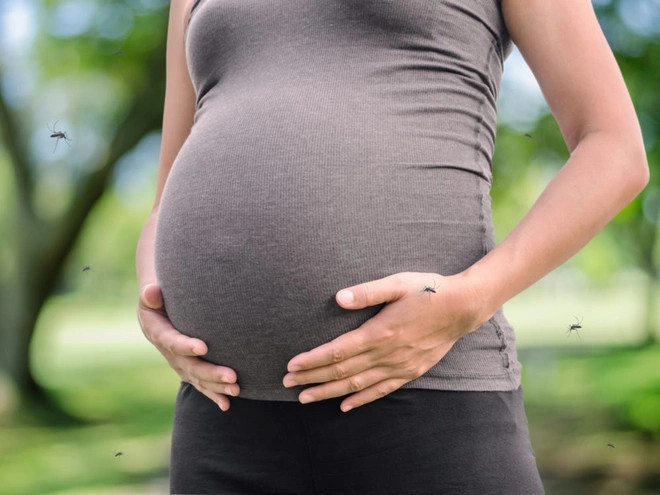Lý do khiến bạn luôn bị muỗi đốt: Phụ nữ mang thai