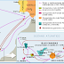 Islas Canarias, encrucijada entre Europa, África y América