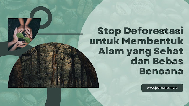 Mari stop deforestasi agar lingkungan lebih sehat dan bebas bencana