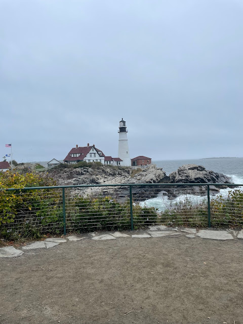 A view of the lighthouse and keepers house from a distance. The property is surrounded by three sides with water. There are flowering bushes in view of the picture as well as a fence to keep people off of the bushes and rocky land leading to the ocean.