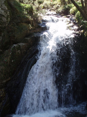 Foz del Nozalín