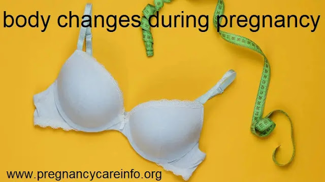 body changes during pregnancy