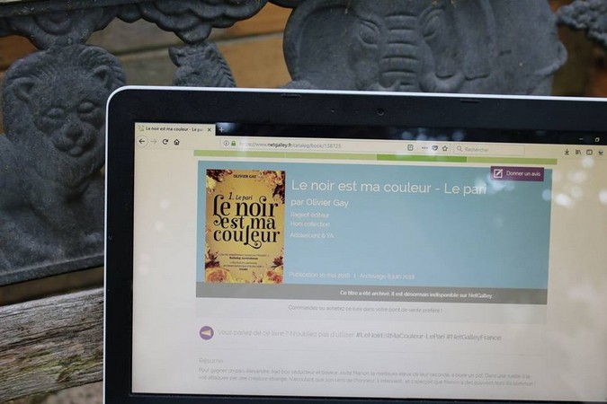 L'ordinateur ouvert sur la page internet NetGalley Le Noir est ma couleur, posé sur un banc