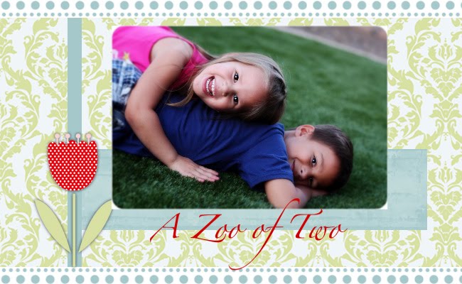 A Zoo Of Two Plus One More