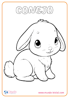 Dibujo de conejo para colorear