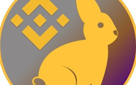 Bunny (SB) token