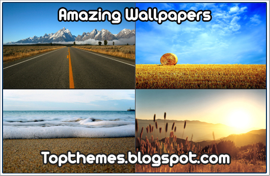 Amazing Wallpapers