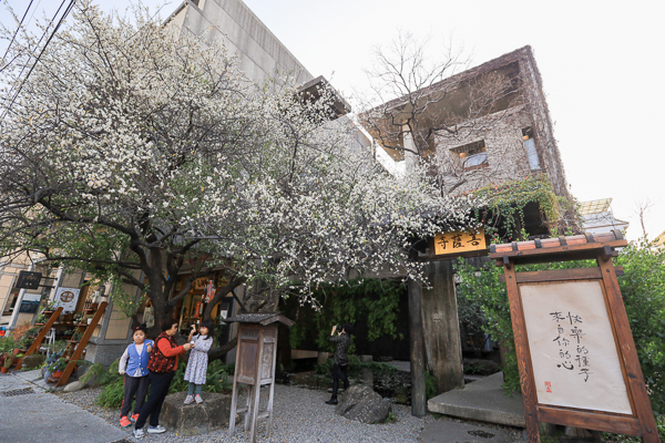 台中大里IBS菩薩寺清水模綠建築，隱身都市的寺廟|維摩舍|半畝塘