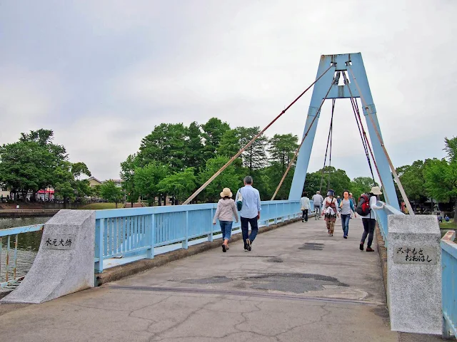 水元公園　水元大橋