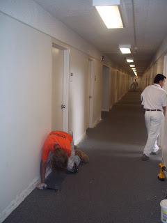 Operations Staff Carpet Work