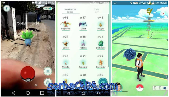 Istilah Dalam Game Pokemon Go