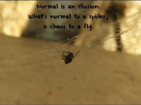 normal is an illusion