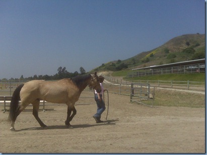 IMG00617 - Copy
