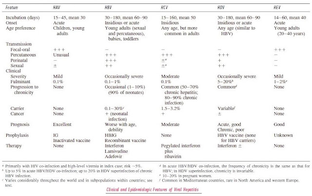 Tabel rangkuman karakteristik etiologik hepatitis virus akut, masa inkubasi, onset, kelompok umur, transmisi fekal-oral perkutaneus perinatal seksual, derajat keparahan, fulminan, kronis, kronisitas, karier Ca, hepatoma, kanker hepar, prognosis, profilaksis, terapi, HAV, HBV, HCV, HDV, HEV