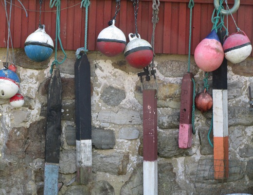 Vitsippsbacken 016