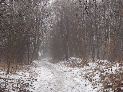 Koniec pierwszego śniegu, odwilż, marznąca mżawka, gołoledź łąki na Ruczaju, jazda na sankach, zimowy spacer