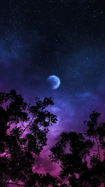 Papel de Parede Grátis Celular Lua Céu Noite Árvores