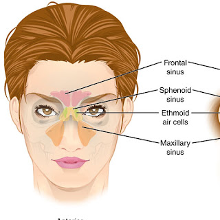 Can Acupuncture Effectively Treat Chronic Sinusitis?