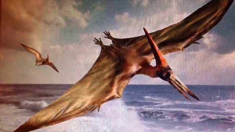 Pterodactyl, Kadal Raksasa Bersayap dari Zaman Kuno