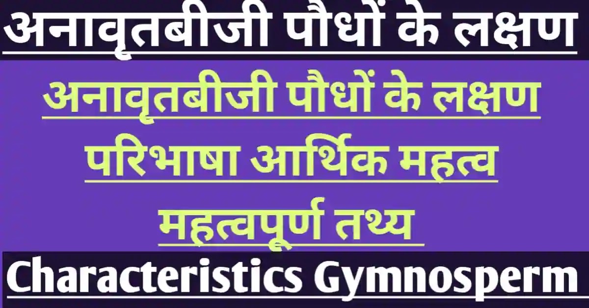 अनावृतबीजी पौधों के लक्षण
