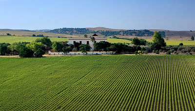 Hacienda in Spanish America