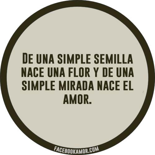 bonitas frases de amor