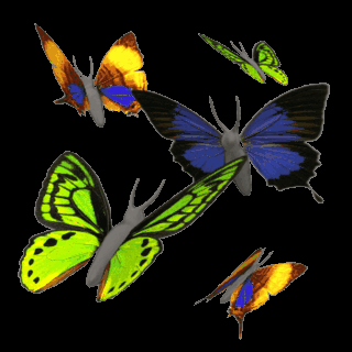 Nah, inilah koleksi Gambar Cantik Kupu kupu Terbang yang 