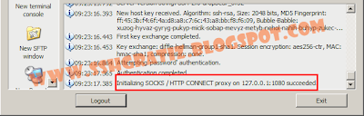 Initializing SOCKS / HTTP CONNECT proxy on 127.0.0.1:1080 succeeded