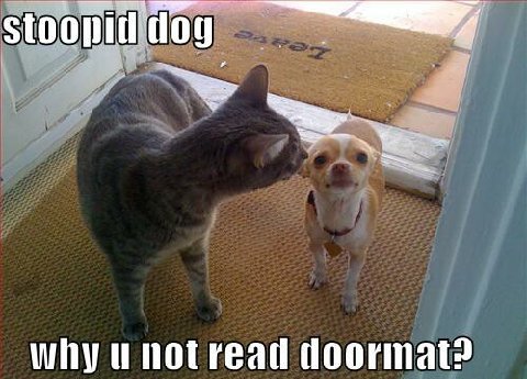 funny_pictures_cat_dog_doormat_leave_Funny_cats_and_dogs_picss480x345 