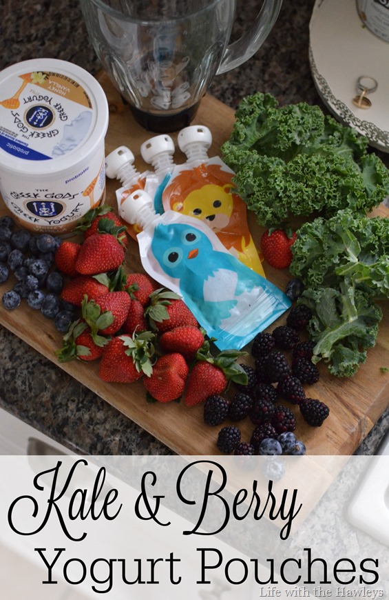 Kale & Berry Yogurt Pouches