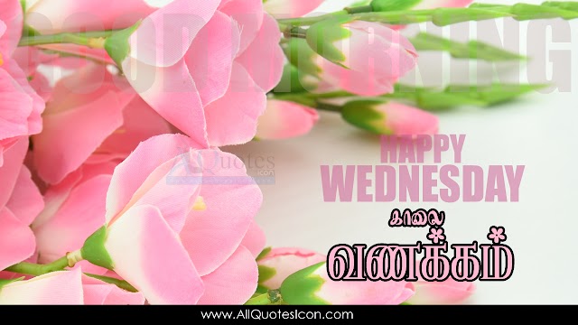 Happy Wednesday Images Tamil Good Morning Greetings HD Wallpapers Best Subhodayam Subhakamkshalu Tamil Quotes Images