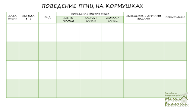 наблюдение-птиц-на-кормушках-магия-биологии-бланки